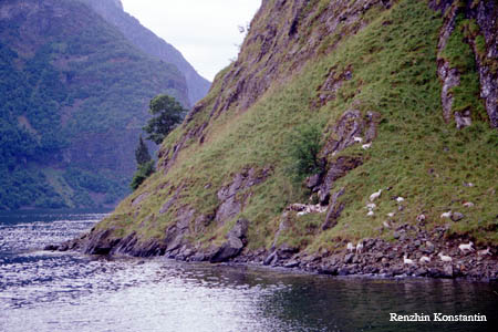 Fiord10